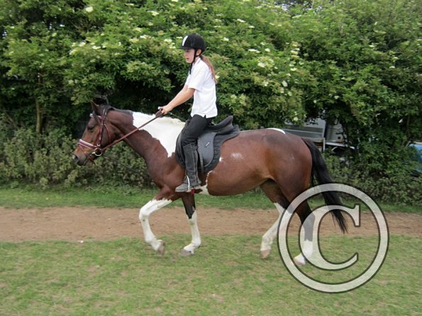 Dressage clinic (75)