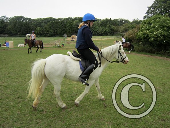 Dressage clinic (76)