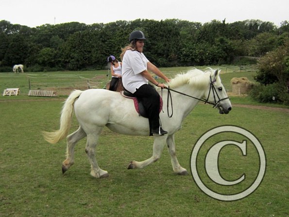 Dressage clinic (77)