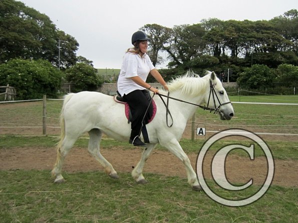 Dressage clinic (78)