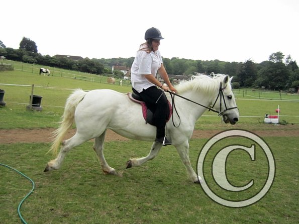 Dressage clinic (79)