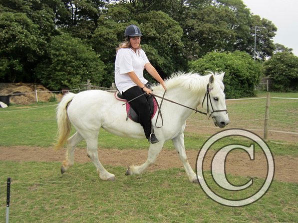 Dressage clinic (80)