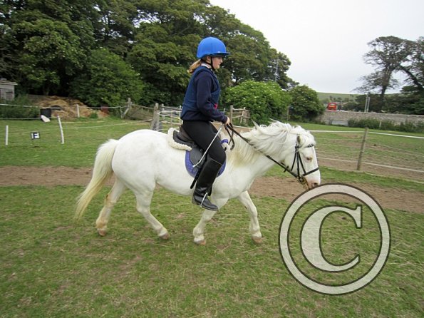 Dressage clinic (82)