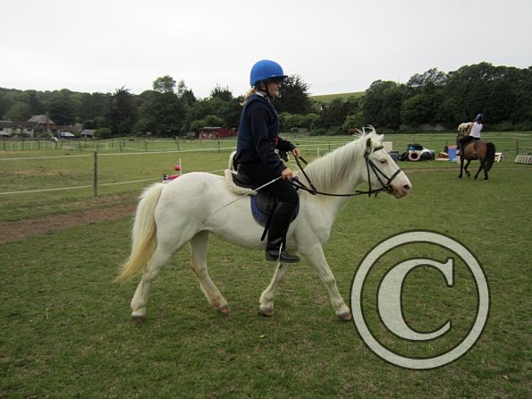 Dressage clinic (83)
