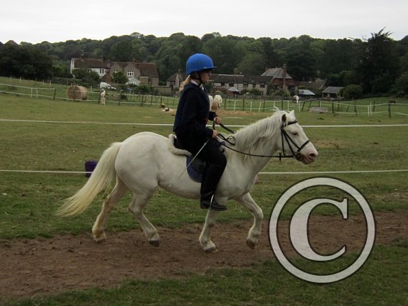 Dressage clinic (84)
