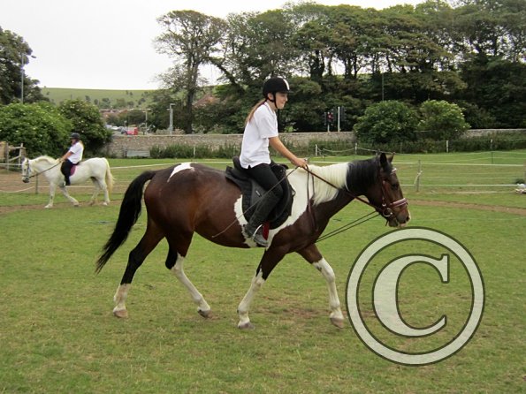 Dressage clinic (85)