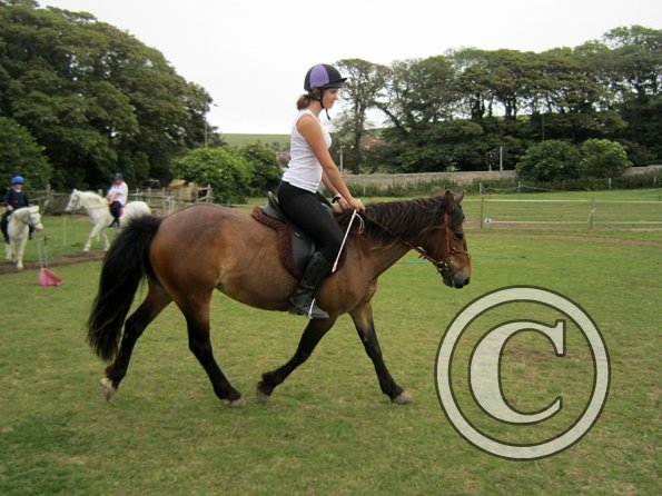 Dressage clinic (86)