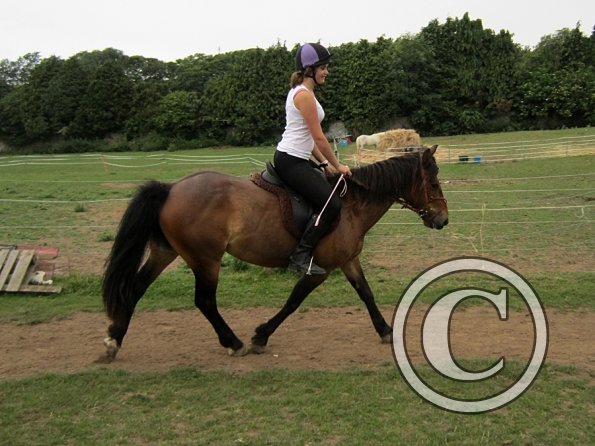 Dressage clinic (87)