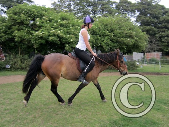 Dressage clinic (89)