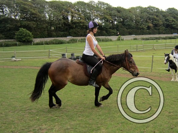 Dressage clinic (90)