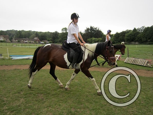 Dressage clinic (95)