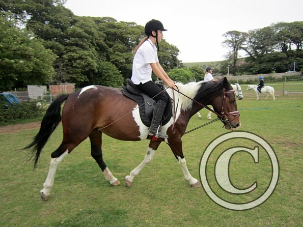 Dressage clinic (97)