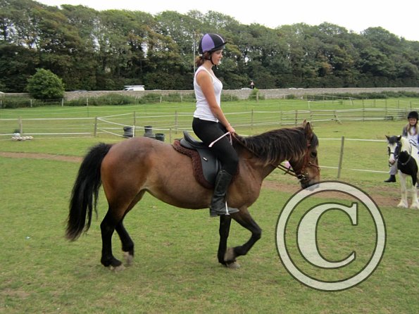 Dressage clinic (99)