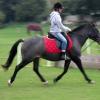 Dixie flatwork (3)