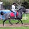 Dixie flatwork (4)
