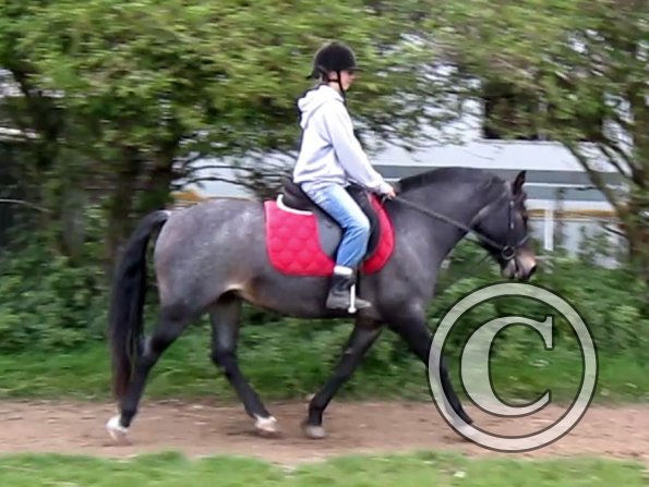 Dixie flatwork