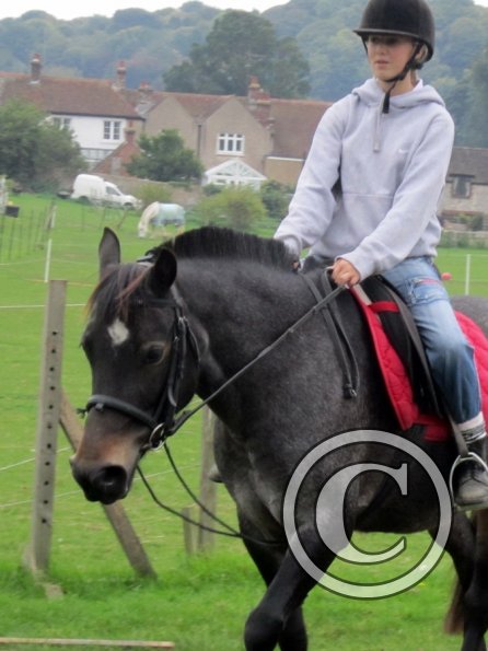 Lily H and Dixie (2)