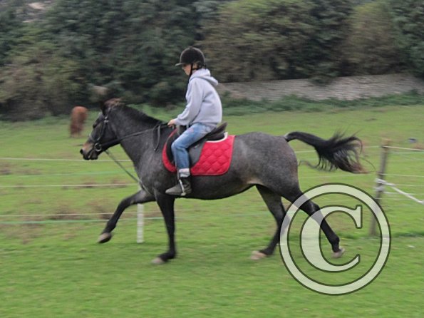 Lily H and Dixie (5)