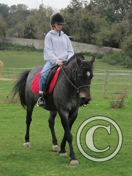 Lily H and Dixie (6)