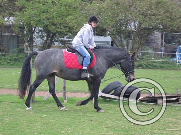 Lily H and Dixie (8)