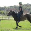 Appley dressage (5)