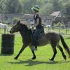 Appley dressage (6)