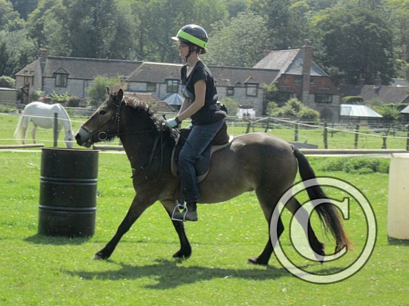Appley dressage (6)