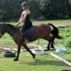 Canter poles (10)