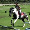 Canter poles (11)