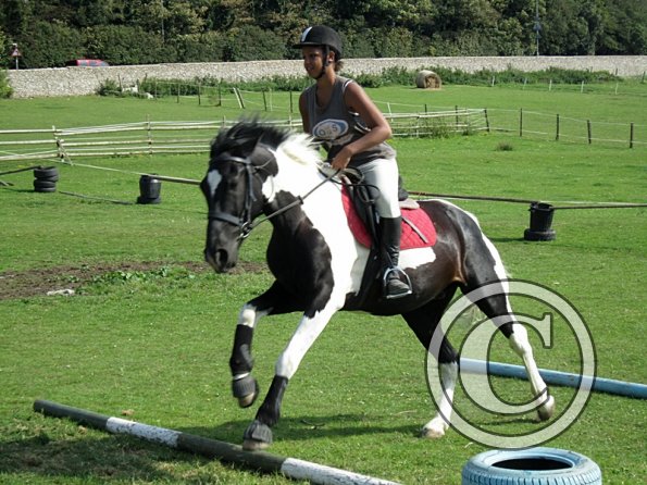 Canter poles (11)
