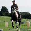 Canter poles (12)