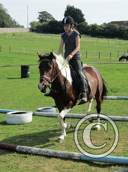 Canter poles (13)