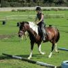 Canter poles (14)