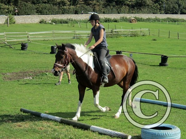 Canter poles (14)