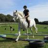 Canter poles (16)