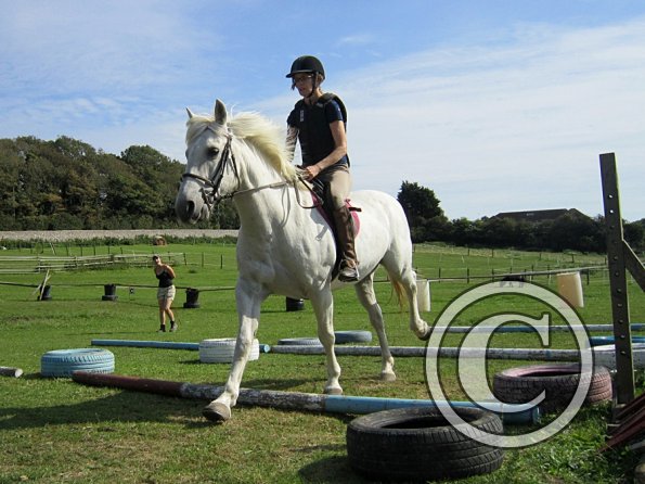 Canter poles (16)