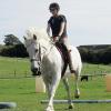 Canter poles (17)