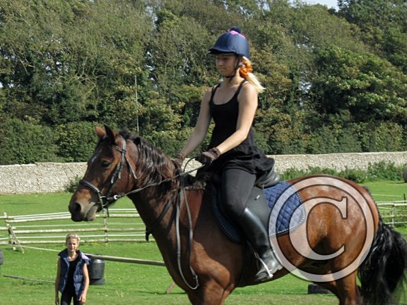 Canter poles (18)