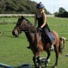 Canter poles (19)