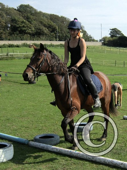 Canter poles (19)