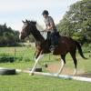 Canter poles (2)