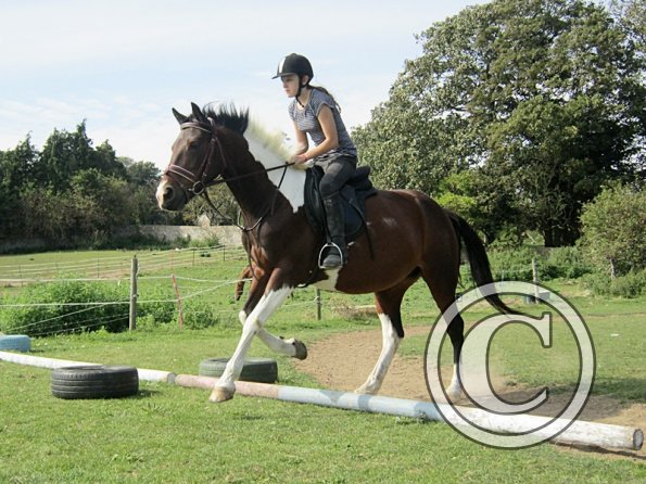 Canter poles (2)