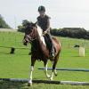 Canter poles (20)