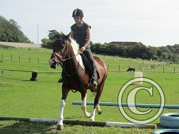 Canter poles (20)
