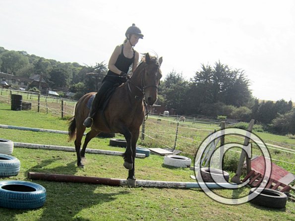 Canter poles (21)