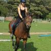 Canter poles (4)