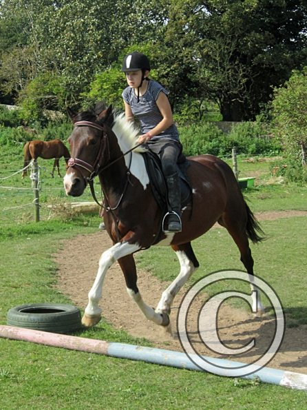 Canter poles (6)