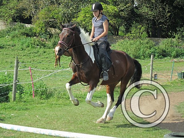 Canter poles (7)