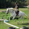 Canter poles (8)