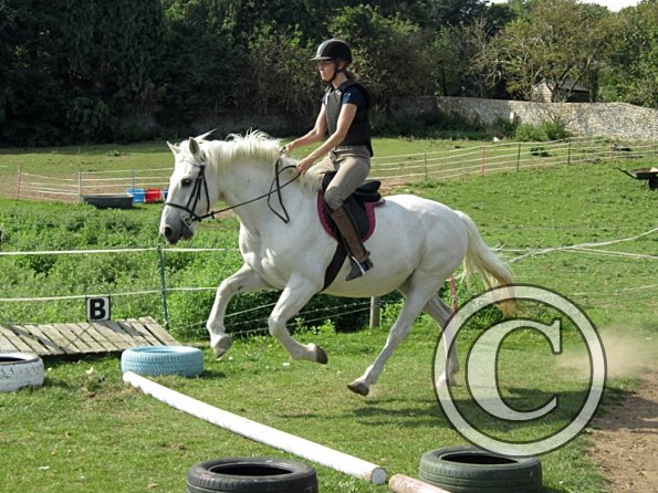 Canter poles (8)